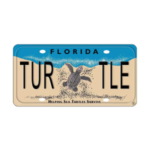 The Sea Turtle  License Plate Program