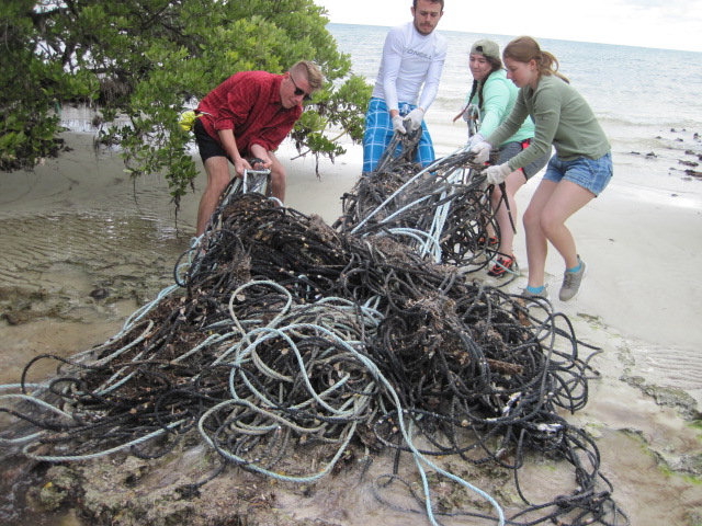 Coastal Cleanup